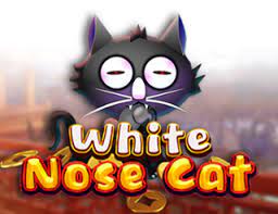 Slot White Nose Cat Harvey777